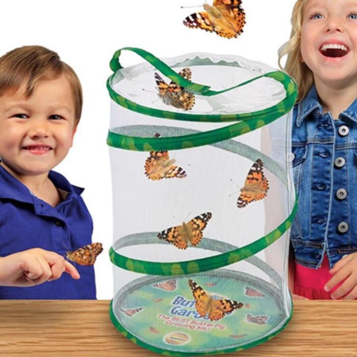 Cage à insectes pliable pour élevage de papillons